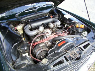 p6b6.jpg