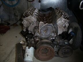 v80001.jpg