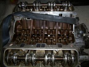 v80002.jpg